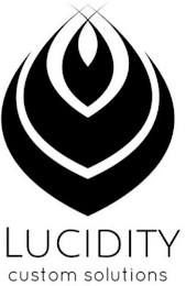LUCIDITY CUSTOM SOLUTIONS logo