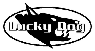 LUCKY DOG logo