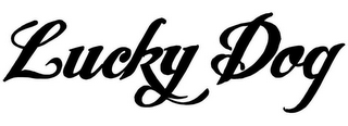 LUCKY DOG logo