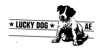 LUCKY DOG AE logo