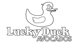 LUCKY DUCK AVOCADOS logo