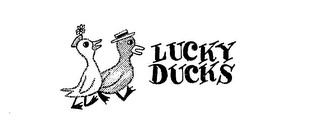 LUCKY DUCKS logo
