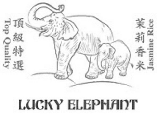 LUCKY ELEPHANT TOP QUALITY JASMINE RICE logo