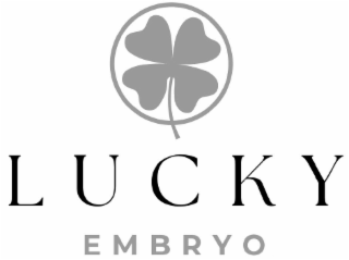 LUCKY EMBRYO logo