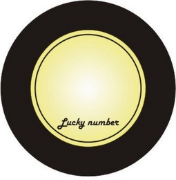 LUCKY NUMBER logo