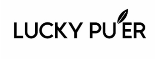 LUCKY PUER logo