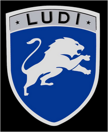 LUDI logo