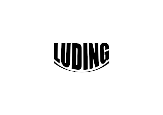 LUDING logo