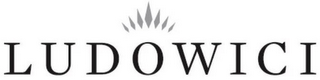 LUDOWICI logo