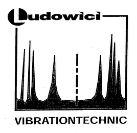 LUDOWICI VIBRATIONTECHNIC logo