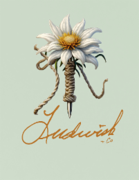 LUDWICK & CO logo
