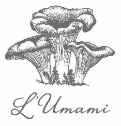 L'UMAMI