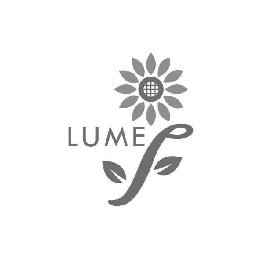 LUMEF logo
