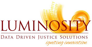 LUMINOSITY DATA DRIVEN JUSTICE SOLUTIONS IGNITING INNOVATION logo