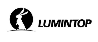 LUMINTOP logo