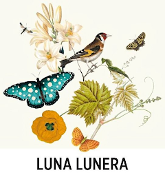 LUNA LUNERA logo