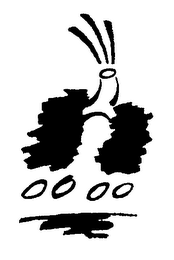 LUNG EXPRESS ON THE ROAD TO BETTER BREATHING logo