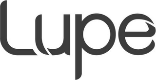 LUPE logo