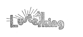LUSTERKING logo