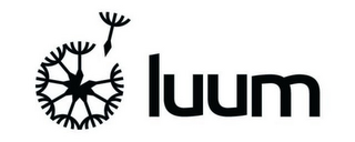 LUUM logo