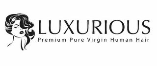 LUXURIOUS PREMIUM PURE VIRGIN HUMAN HAIR logo