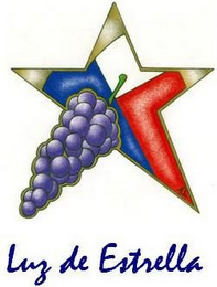 LUZ DE ESTRELLA logo