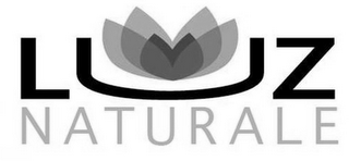 LUZ NATURALE logo