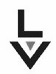LV logo