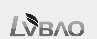 LVBAO logo