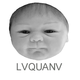 LVQUANV logo
