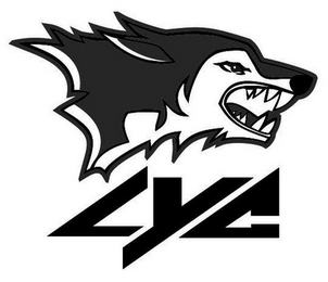 LYC logo