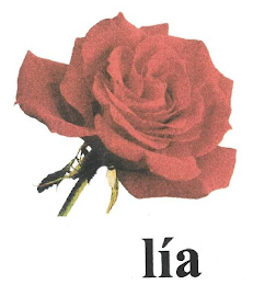 LÍA logo