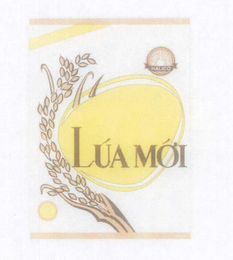 LÚA MÓI HALICO logo