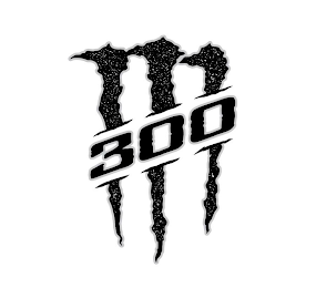 M 300 logo