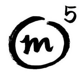 M 5 logo