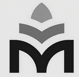 M logo