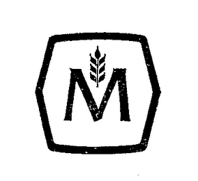 M logo