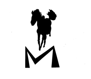 M logo