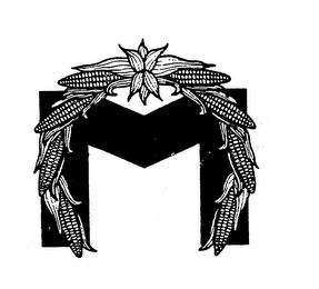 M logo