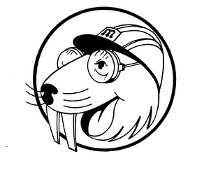 M logo