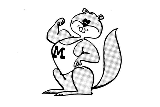 M logo