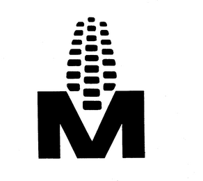 M logo