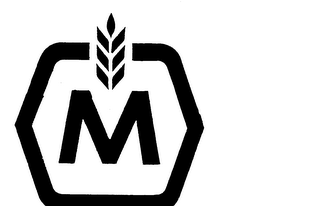 M logo