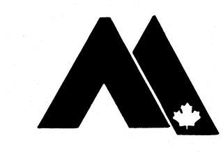 M logo