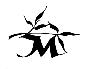 M logo