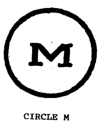 M logo