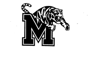 M logo