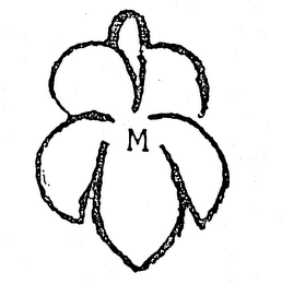 M logo