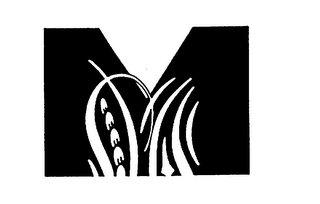 M logo