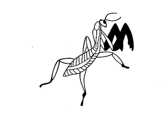 M logo